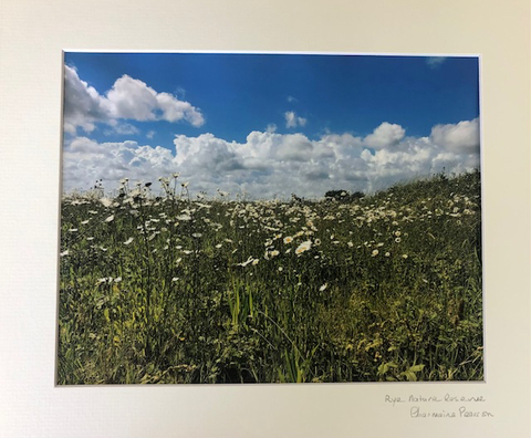 Catalogue 29