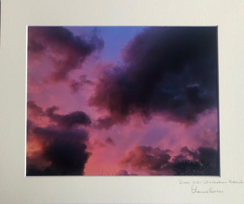 Catalogue 24